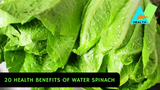 15 Health Benefits of Water Spinach 
