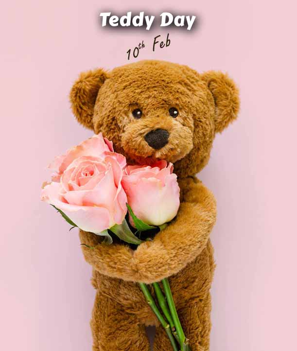 Teddy Day celebration