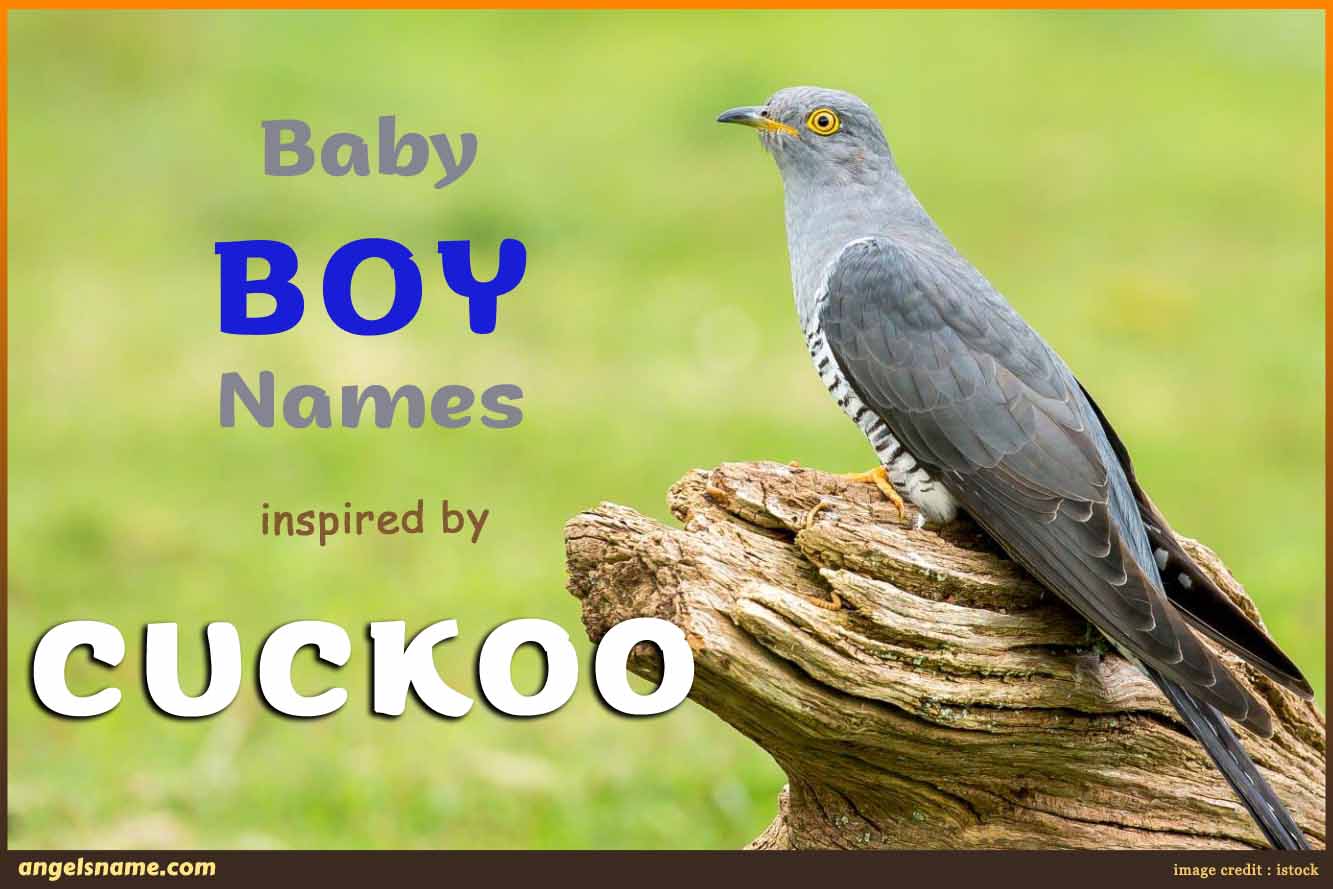 Unique Baby Boy Names That Mean Cuckoo 
