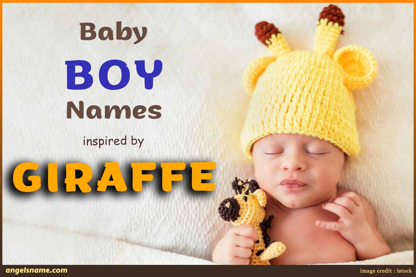 Unique Baby Boy Names That Mean Giraffe